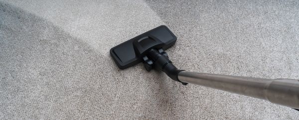 Condo Carpet Cleaning in Lewes