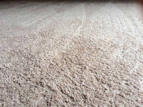 Plush Carpet Installation in Lewes
