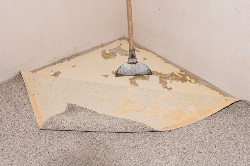 Basement Carpet Repair