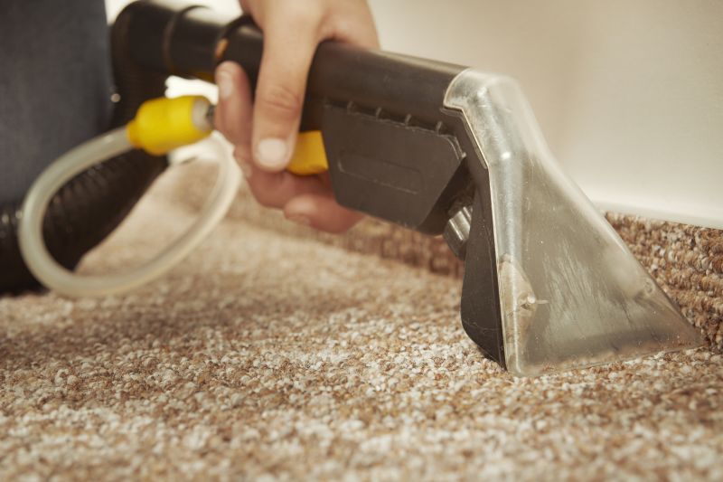 Equipment for Carpet Cleaning